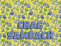 Chag Sameach Cheerful Flower Pattern