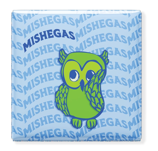 Mishegas Owl Magnet